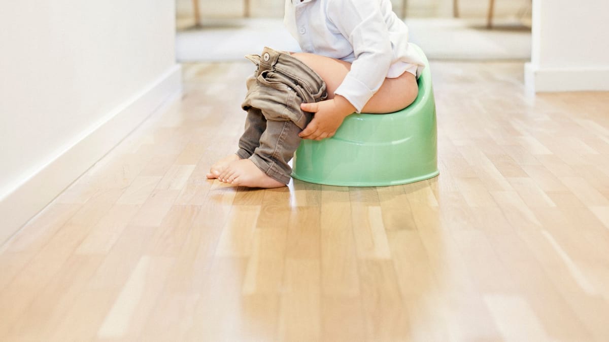 Gorshokka o‘rgatish haqida