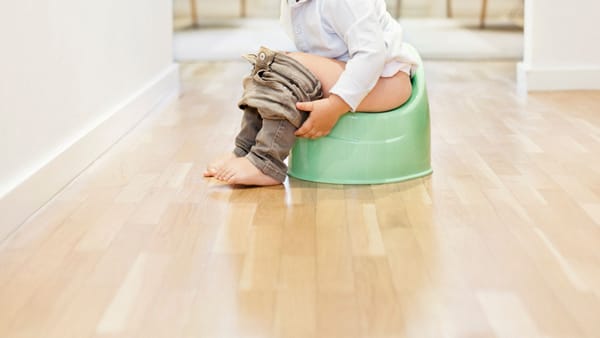 Gorshokka o‘rgatish haqida